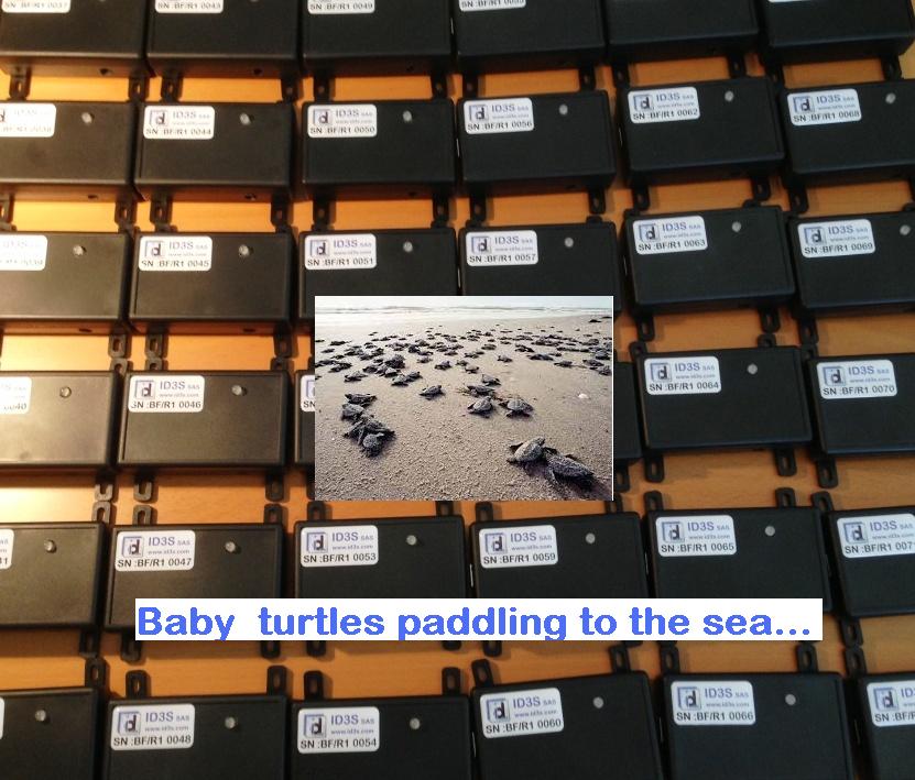 BF readers looking like baby turtles ;)